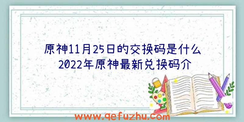 原神11月25日的交换码是什么